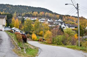 Notodden, Bondals gate-1.jpg