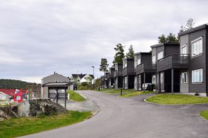 Notodden, Eikeskartunet-1.jpg