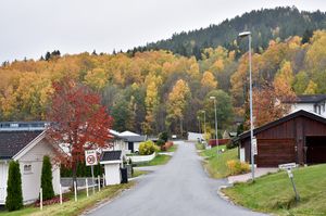 Notodden, Fjellmannvegen-1.jpg