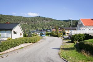 Notodden, Ingebjørg Mælandsmos veg-1.jpg