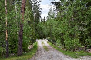 Notodden, Lauvåsvegen-1.jpg