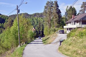 Notodden, Lienfossveien-1.jpg