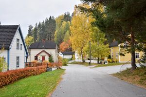 Notodden, Professor Tronstads gate-1.jpg