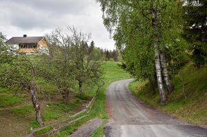 Notodden, Skardsåsvegen-1.jpg