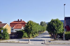 Notodden, Skogveien-1.jpg