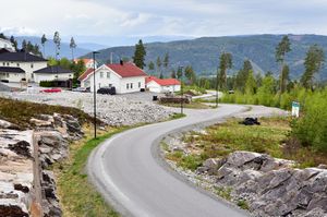 Notodden, Steinbekklia-1.jpg