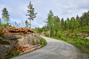 Notodden, Taklåsvegen-1.jpg