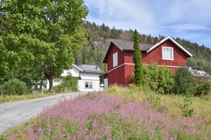 Notodden, Tveitdalen-1.jpg