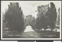 379. Nr. 3280 Tøienhaven. Ekealleen - no-nb digifoto 20150126 00269 bldsa PK11380.jpg