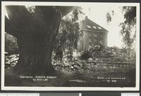 382. Nr. 3282 Tøienhaven. Botanisk museum og Moe's pil - no-nb digifoto 20150126 00276 bldsa PK11402.jpg