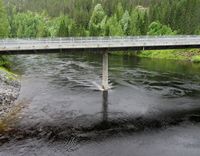 348. Numedalslågen ved Bruhaug bru Rollag juni 2013.jpg