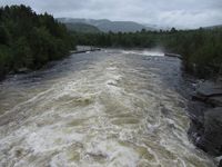 340. Numedalslågen ved Veggli juni 2013.jpg