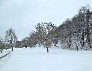 Ola Narr (park) Oslo 2013.jpg