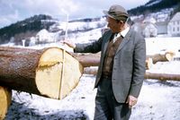 Olav vurderer resultat av skogbruket, viktig del av undervisninga på Foldsæ.