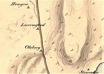 Olberg under Lier kart Kongsvinger kommune.jpg