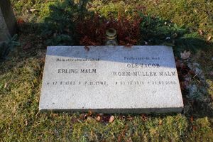 Ole Jacob Worm-Müller Malm gravminne.jpg