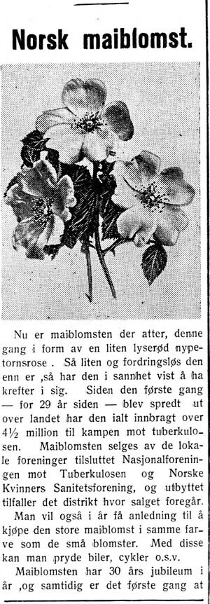 Om maiblomsten i Nord-Trøndelag og Nordenfjeldsk Tidende 28.4. 1938.jpg