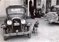Arne kjøpte i 1936 Opel H 443 som var eigd av Aslak Momrak Haugan og køyrd av kona Marit. (Hadde og ein Nash.) Hunden er schæferen Varg