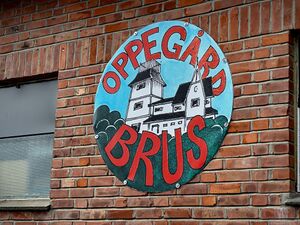 Oppegård Brus i Durendalveien 14.jpg