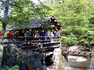 Oppgangssaga i Gjersjøelva, Oppegård.JPG