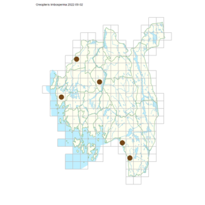 Oreopteris limbosperma.png