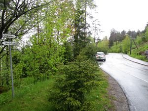 Orreveien Oslo 2015.jpg