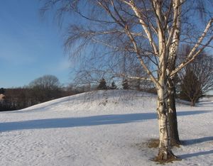 Oseberghaugen Tønsberg 2012.jpg