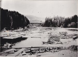 Oset i Bingselva sett fra Skotselv Cellulosefabrik (oeb-176674).jpg