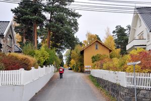 Oslo, Erling Schiøtz' vei-2.jpg