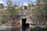 Ljanselvas utløp i Fiskvollbukta. Foto: Roy Olsen (2015)