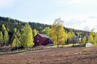 Ospeskogveien 2, 4, Søndre Berger gård (gnr. 17/12). Foto: Roy Olsen (2011).