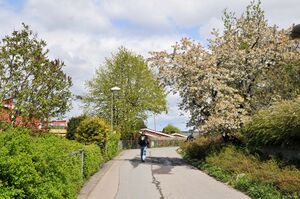 Oslo, Pilestien-1.jpg