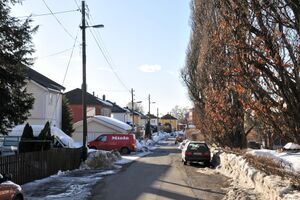 Oslo, Thorleifs allé-1.jpg