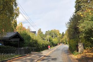 Oslo, Trosterudveien-1.jpg