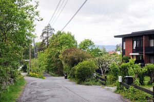 Oslo, Von Øtkens vei-1.jpg