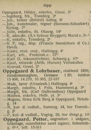 Oslo Adressebok 1929 utdrag.jpg