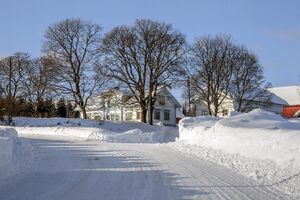 Oslo Greveveien 180225.jpg