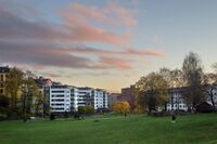 Iladalen sett mot sør en novemberettermiddag. Foto: Leif-Harald Ruud (2017).