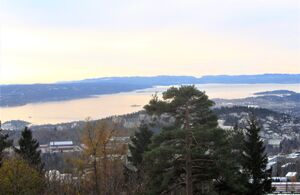 Oslofjorden sett fra Holmenkollen 2012.jpg