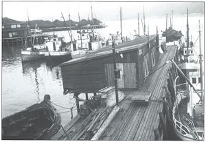 Otto Sverdrupsgt. 7b kaia KK.jpg