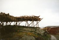 Tørrfiskhjell ved Tørrfiskmuseet.