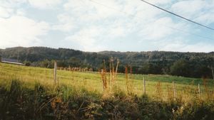 Ou1996 Valseyfjord kornstaurar.jpg