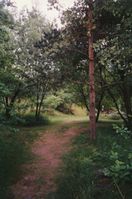 6. Ou1997 Leikvin 4.jpg