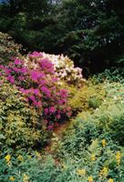 8. Ou1997 Leikvin 6.jpg