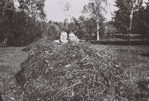 Over-Kallrustad slattonn oslofolk.jpg