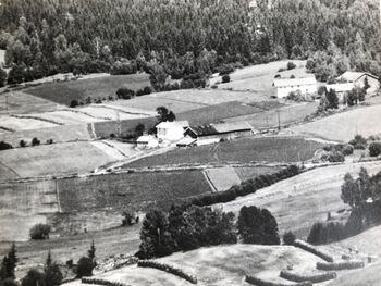 Oversiktsbilde Dalby nedre og Dalby øvre ca1950.jpg