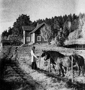 Overudsberget under Overud Kongsvinger 1972 Tjernsberg.jpg
