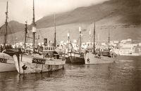 Brugdefiske og landligge i Klaksvik, Færøyane.