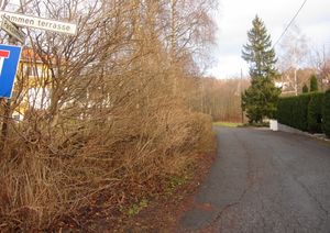 Parkdammen Oslo 2013.jpg