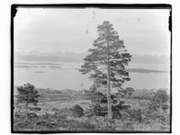 64. Parnorama over an mindre by - NB MS G4 0880.jpg